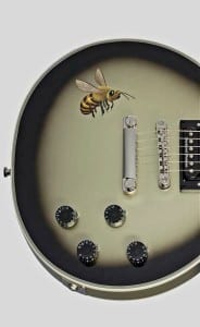 Adam Jones Les Paul Custom Bee