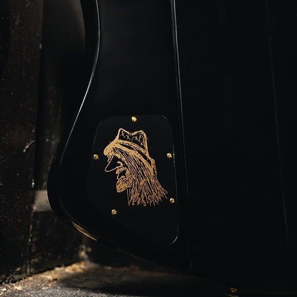 Epiphone Rex Brown Thunderbird Bass backplate